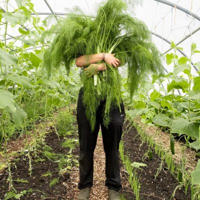 Falkland Rural Enterprises Limited HR Support